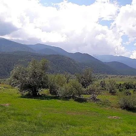Hotel Toni - 2*